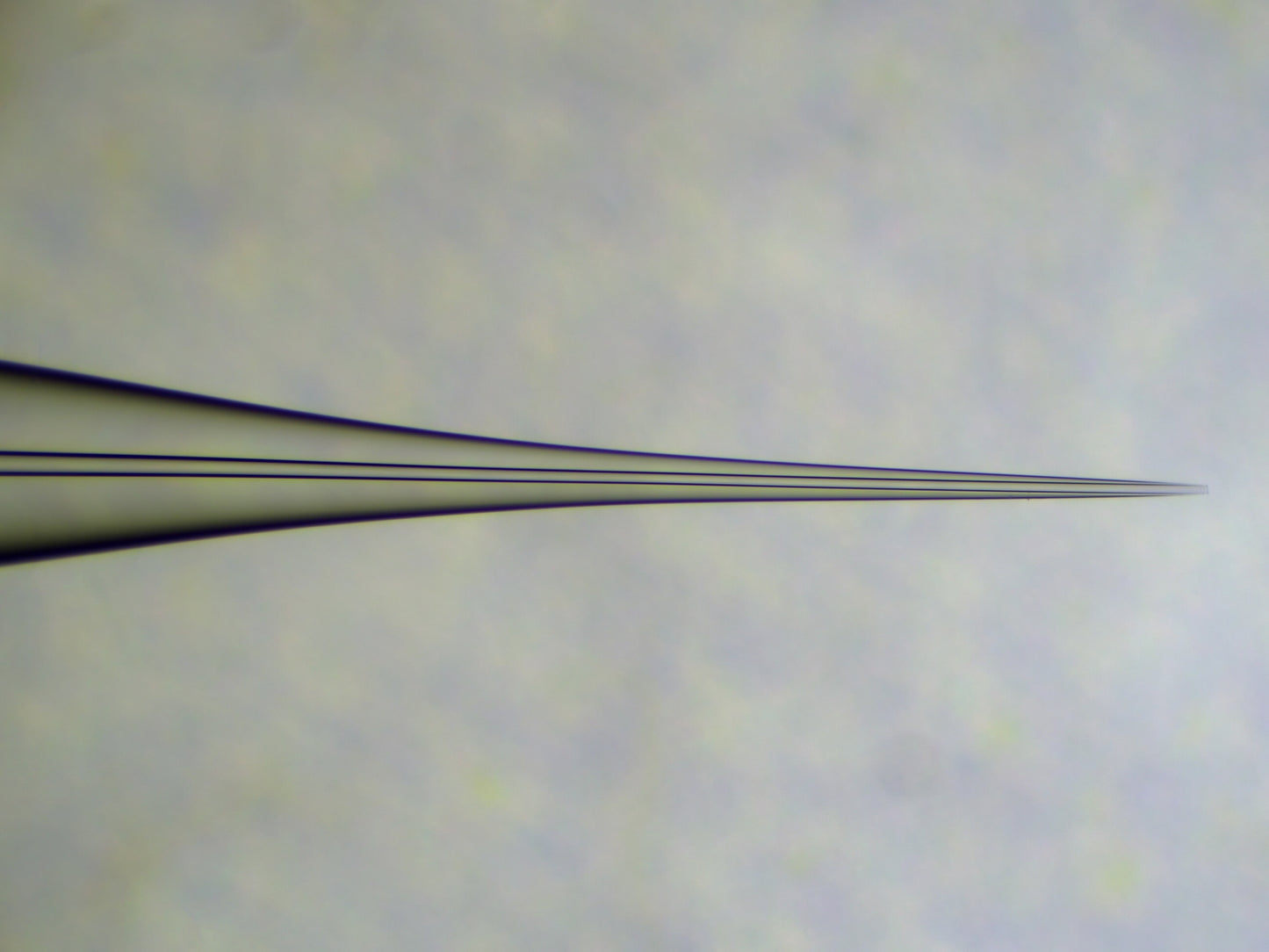 Standard - Pulled-Etched-Tip (PET) ESI Emitters -  20µm x 50mm (5pk, C205)